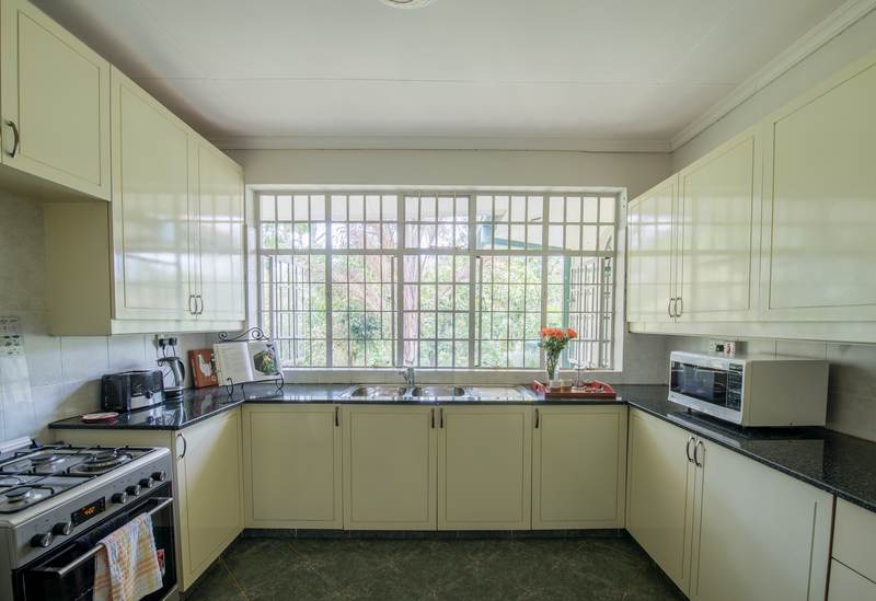 Forest House - Gallery 37
